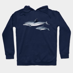 Atlantic spotted dolphin Hoodie